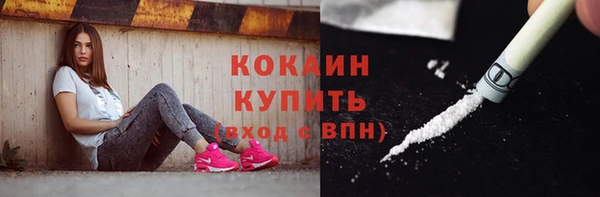 сатива Богородск