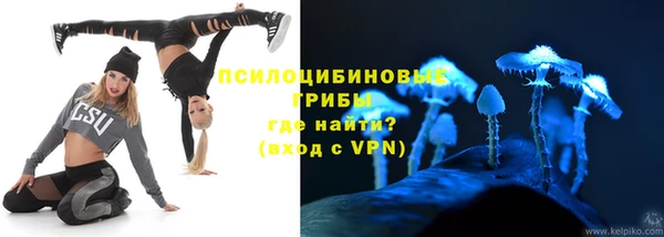 сатива Богородск