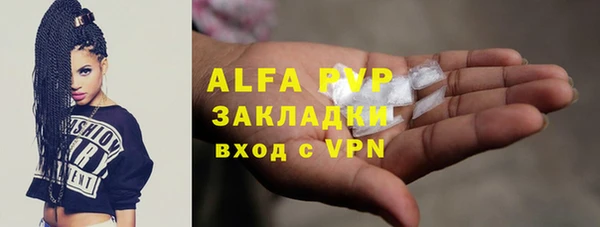 сатива Богородск