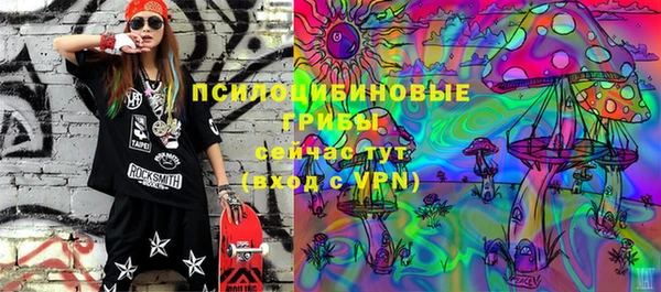 кокс Богородицк